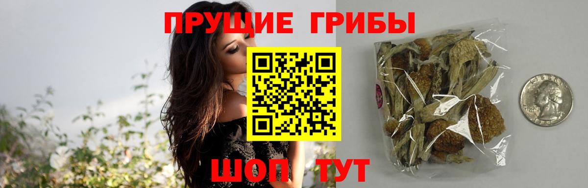 Валуйки  Галлюциногенные грибы Psilocybe  наркошоп  Вход с VPN  Галлюциногенные грибы Cubensis 